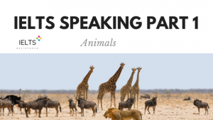ieltsassistance.co.uk IELTS Speaking Part 1 Topic Animals