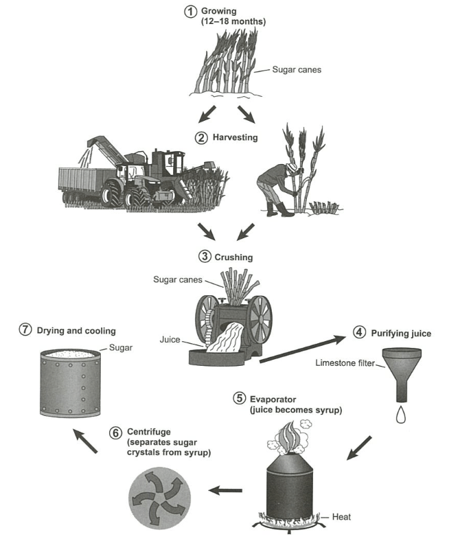 IELTS Writing Task 1 The diagram shows the manufacturing process for making sugar from sugar cane