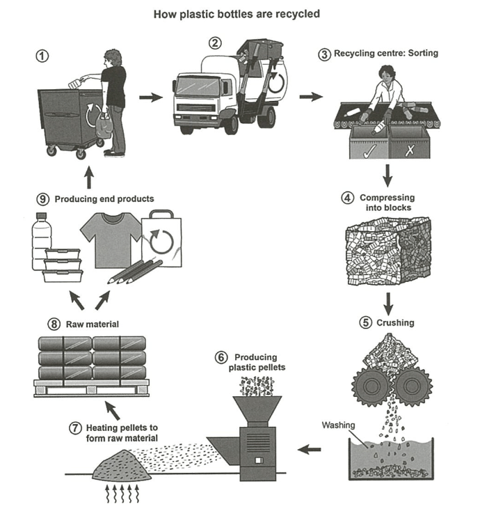 The diagram shows the process for recycling plastic bottles. | IELTS ...